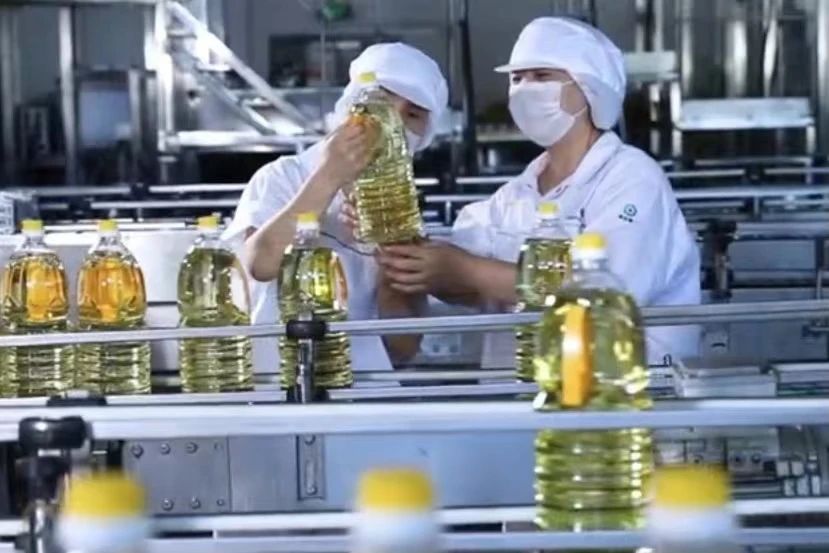 Z6·尊龙凯时「中国集团」官方网站